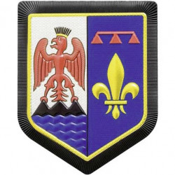 Ecusson de bras Gendarmerie