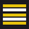 galon gendarmerie mobile lieutenant colonel