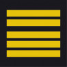 galon gendarmerie mobile colonel